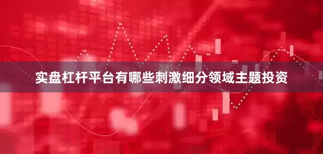 实盘杠杆平台有哪些刺激细分领域主题投资