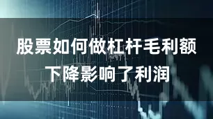 股票如何做杠杆毛利额下降影响了利润