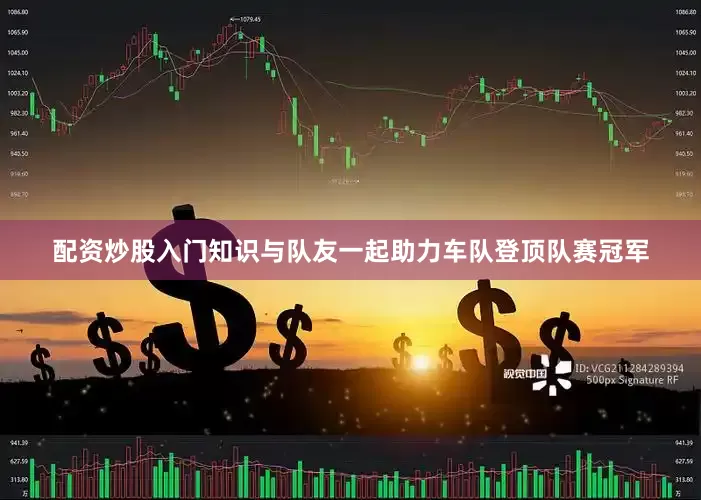 配资炒股入门知识与队友一起助力车队登顶队赛冠军