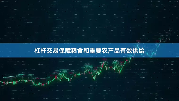 杠杆交易保障粮食和重要农产品有效供给