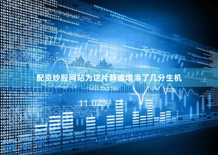 配资炒股网站为这片静谧增添了几分生机
